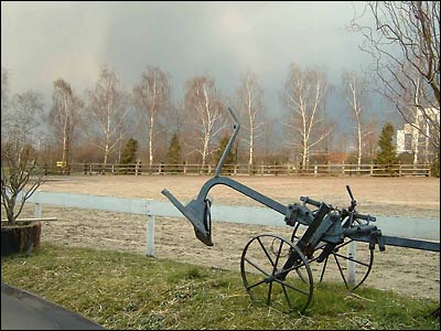 Wunderschönes Grau