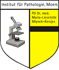 Institut für Pathologie, Bethanienstr. 21, 47441 Moers